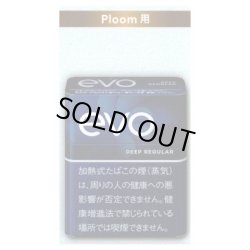 画像1: エボ・ディープ・レギュラー・プルーム用