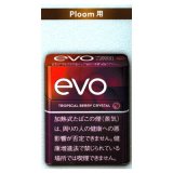 エボ・トロピカル・ベリー・クリスタル・プルーム用